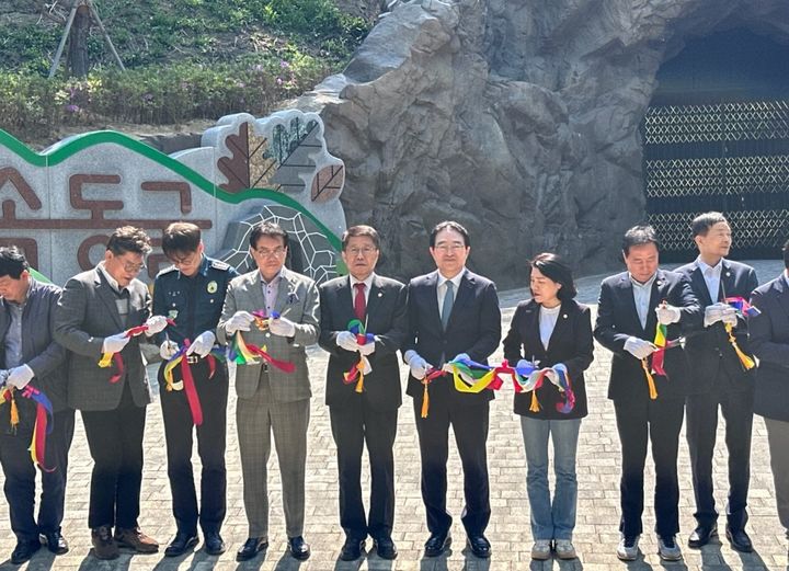 '피톤치드 힐링 명소'…옥천 장령산 '숲속 동굴' 개장