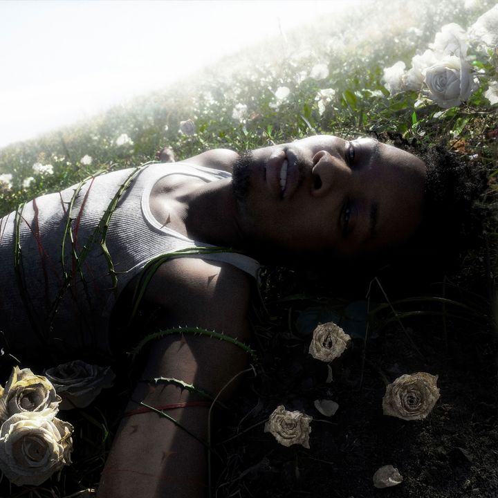 [서울=뉴시스] 데이비드(d4vd). (사진 = 유니버설뮤직 코리아 제공) 2025.04.25. photo@newsis.com. *재판매 및 DB 금지