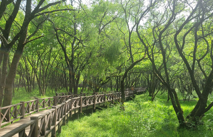 [광주=뉴시스] 광주호수생태원. (사진=광주시청 제공). photo@newsis.com *재판매 및 DB 금지