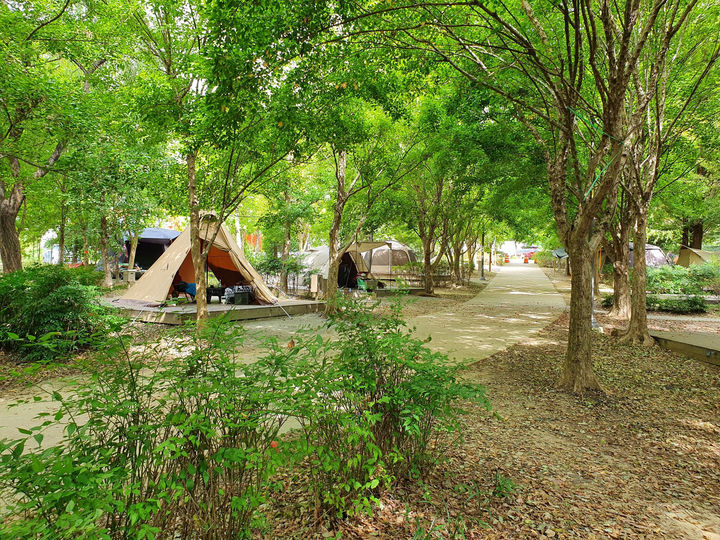 [세종=뉴시스]야영장 모습. photo@newsis.com **위 사진은 기사 내용과 무관합니다. *재판매 및 DB 금지