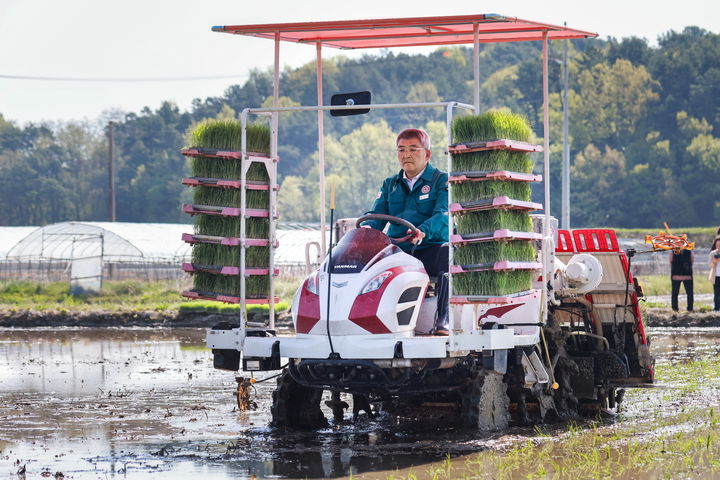  [예천=뉴시스] 김학동 예천군수가 26일 예천군 개포면 경진리에서 모내기를 하고 있다. (사진=예천군 제공) 2025.04.26. photo@newsis.com *재판매 및 DB 금지
