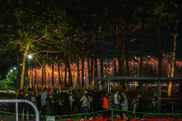 [세종=뉴시스] 26일 세종중앙·호수공원 일원에서 열린 '2025 세종낙화축제' 모습.(사진=세종시 제공).2025.04.27.photo@newsis.com *재판매 및 DB 금지