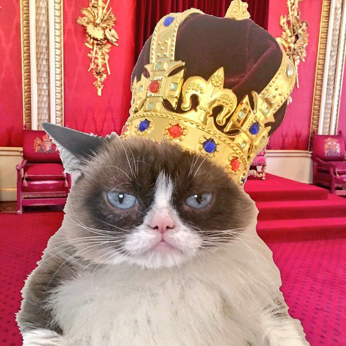 私は猫のtシャツを販売しました…1億人以上の決意