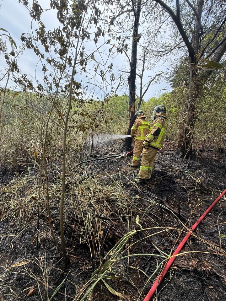 [순창=뉴시스] 27일 오전 11시36분께 전북 순창군 풍산면의 한 주택 인근 대나무밭에서 불이 나 소방대원들이 진화를 하고 있다. (사진=전북도소방본부 제공) 2025.04.27. photo@newsis.com *재판매 및 DB 금지