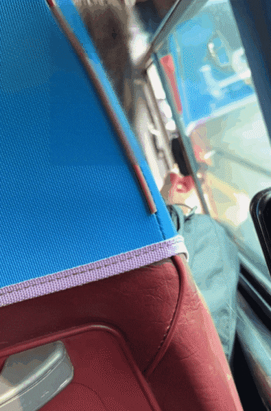 [서울=뉴시스] 지난 18일 작성자 A씨는 자신의 인스타그램에 "제주도 중국인 실화냐 이거. 담배를 피워버리네"라며 영상을 함께 게재했다. (사진= A씨 인스타그램 갈무리 ) 2025.04.27. photo@newsis.com *재판매 및 DB 금지