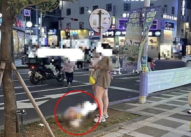 [서울=뉴시스] 제주도의 한 대로변에서 중국인으로 추정되는 아이가 대변을 보는 사진. (사진= 온라인 커뮤니티 ) 2025.04.27. photo@newsis.com *재판매 및 DB 금지