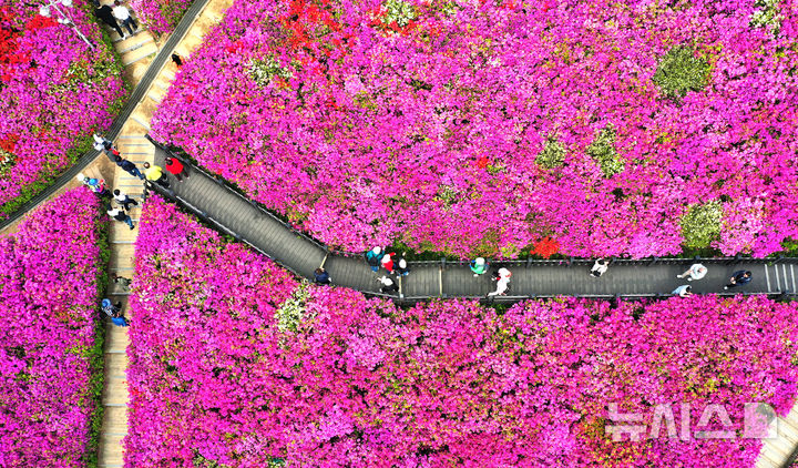 울산, 대체로 맑고 큰 일교차…최고기온 24도