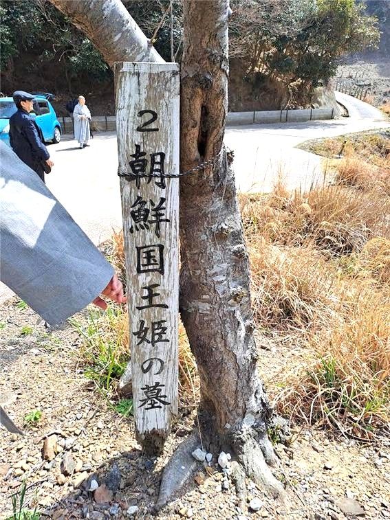 [울산=뉴시스] 썩은 나무기둥에 공주 무덤이라고 쓴 표시판. (사진=김문길 소장 제공) 2025.04.28. photo@newsis.com *재판매 및 DB 금지