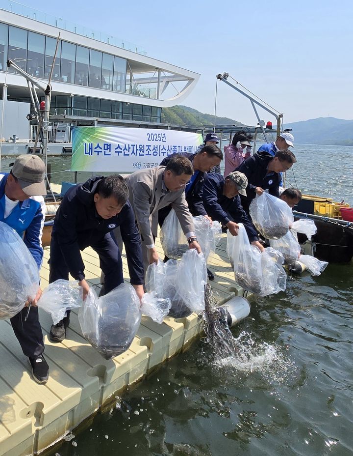 [가평=뉴시스] 뱀장어 치어 방류 행사. (사진=가평군 제공) 2025.04.28. photo@newsis.com *재판매 및 DB 금지