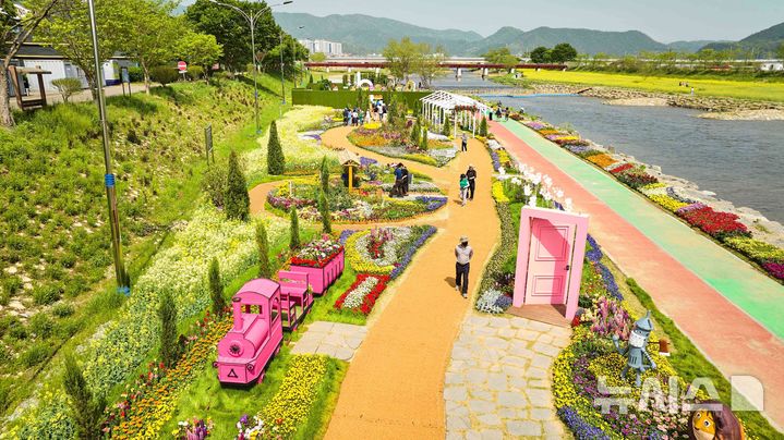 [광주=뉴시스] 전남 화순군은 28일 '2025 화순봄꽃축제' 꽃강길 전시를 오는 5월11일까지 2주간 연장 운영한다고 밝혔다. (사진=화순군 제공). 2025.04.28. photo@newsis.com *재판매 및 DB 금지