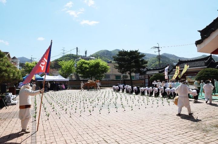 [양산=뉴시스] 웅상농청장원놀이 망시논매기놀이. (사진=양산시 제공) 2025.04.28. photo@newsis.com *재판매 및 DB 금지