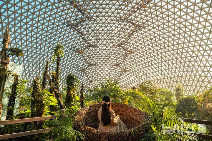 [거제=뉴시스]경남 거제시 거제식물원 정글돔.(사진=경남도 제공) 2025.04.28.photo@newsis.com