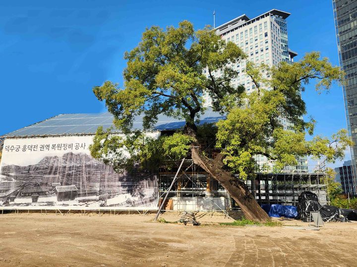 [서울=뉴시스] 덕수궁 흥덕전 권역 복원현장 전경 (사진=국가유산청 제공) 2025.04.28. photo@newsis.com *재판매 및 DB 금지