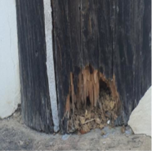 [울산=뉴시스] 구미현 기자 = 부식된 울산 동헌 기둥 모습 (사진=울산 중구의회 제공) photo@newsis.com *재판매 및 DB 금지