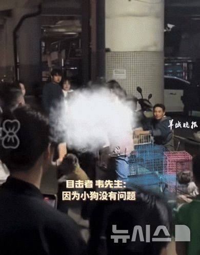 [서울=뉴시스] 환불을 거절당한 남성이 강아지를 던지는 모습.(사진=양청완보) 