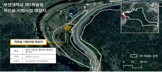 [부산=뉴시스] 부산대 치유의 숲에 조성되는 '작은숲' 대상지(사진=부산시 제공) 2025.04.29. photo@newsis.com *재판매 및 DB 금지