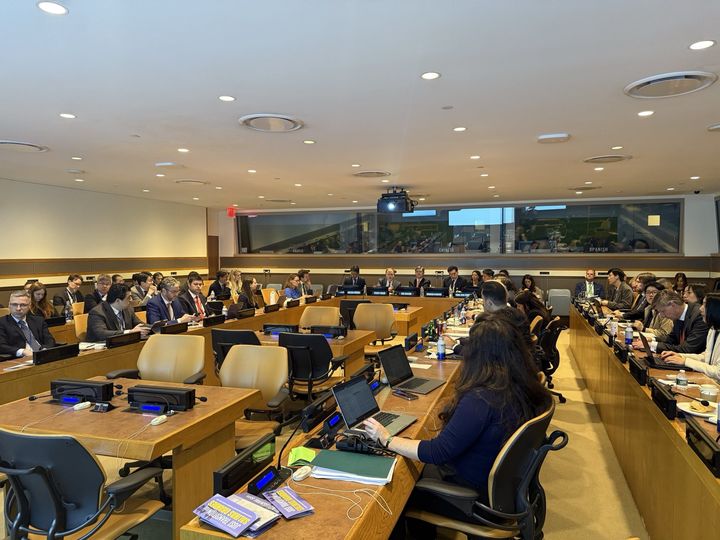 [서울=뉴시스] 외교부는 뉴욕 유엔본부에서 열린 제11차 핵비확산조약(NPT) 평가회의 제3차 준비위원회를 계기로 프랑스 외교부와 공동으로 북핵 문제 관련 부대행사를 개최했다. (사진=외교부 제공) 2025.04.29 *재판매 및 DB 금지