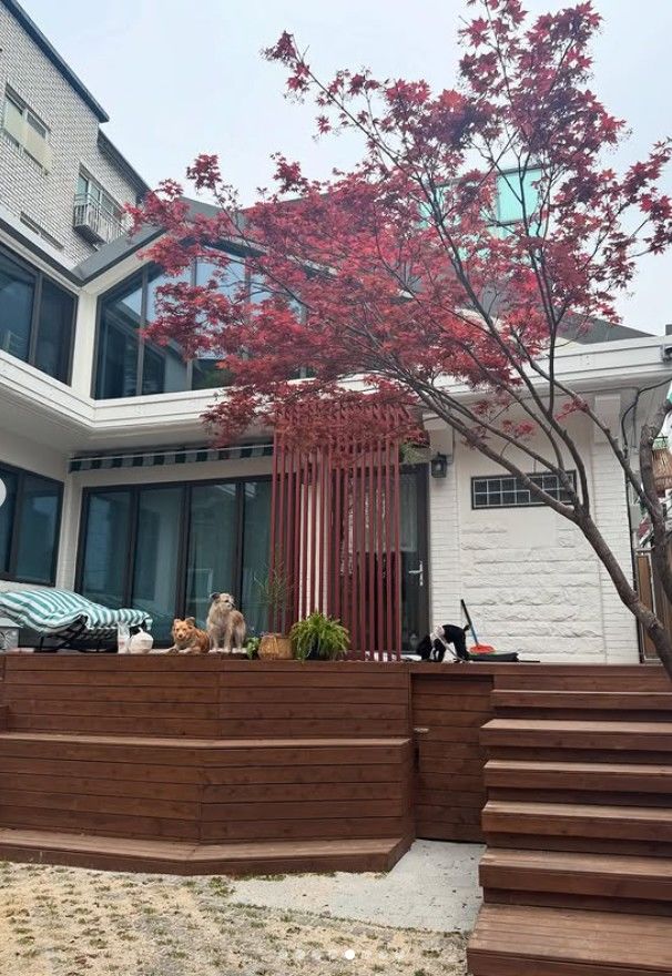 [서울=뉴시스] 서동주가 신혼집을 공개했다. (사진=리빙센스 제공, 서동주 인스타그램 캡처) 2025.04.29. photo@newsis.com *재판매 및 DB 금지