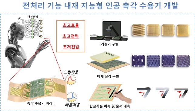 성균관대가 인간의 느린적응와 빠른적응 촉각 수용체가 동시에 모방된 초고효율, 초고전력, 초저전압 지능형 인공 촉각 수용기를 개발했다. (사진=성균관대 제공) *재판매 및 DB 금지