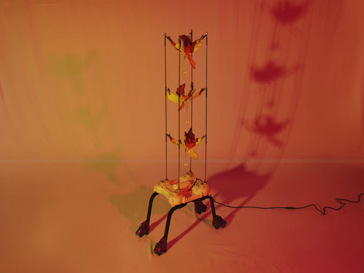 Rachel Youn_Shine, 2025 *재판매 및 DB 금지