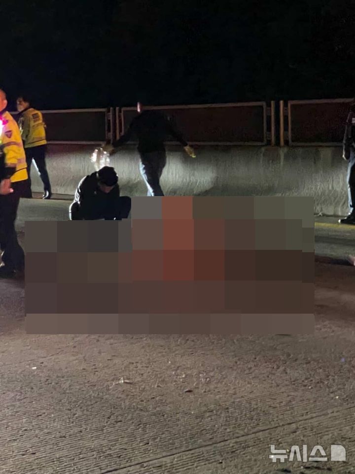 [포항=뉴시스] 지난 28일 오후 8시46분께 경북 포항시 남구 연일읍 영일만대로에서 중앙분리대를 넘어 길을 건너던 60대가 스포츠유틸리티차량(SUV)과 충돌해 숨졌다. (사진=독자 제공) 2025.04.29. photo@newsis.com