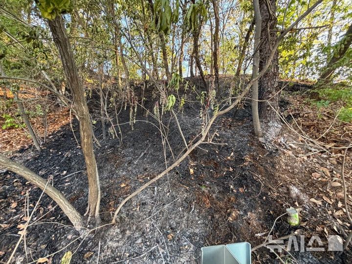 [양주=뉴시스] 화재 현장. (사진=경기도북부소방재난본부 제공) 2025.04.29 photo@newsis.com