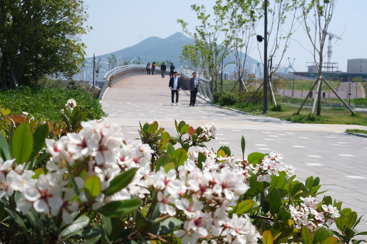 [부산=뉴시스] 부산 북항친수공원 전경 (사진=부산시설공단 제공) 2025.04.29. photo@newsis.com *재판매 및 DB 금지