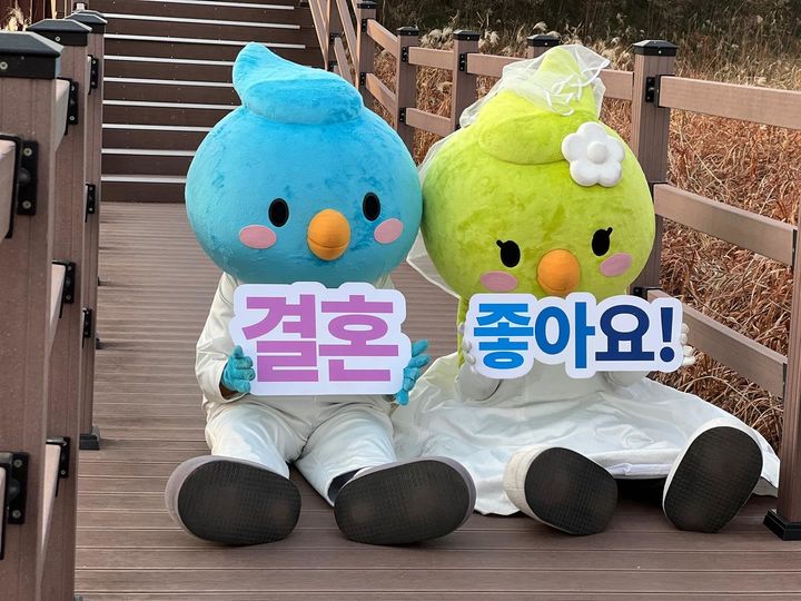 [대구=뉴시스] 대구시 달서구는 5월23일까지 '달달(달콤한 달서) 연애·결혼·중매 이야기 공모전'을 실시한다. (사진=대구시 달서구 제공) 2025.04.29. photo@newsis.com *재판매 및 DB 금지