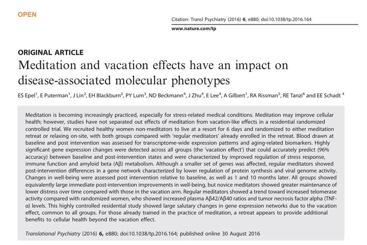 [서울=뉴시스] 6일간의 휴가 생활이 스트레스를 줄이고 면역력을 높인다는 연구 결과. (출처=정신의학 전문지 'Translational Psychiatry') 2025.04.29. photo@newsis.com *재판매 및 DB 금지