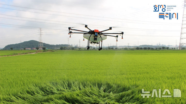 [화성=뉴시스] 경기 화성시가 드론을 활용해 병충해 방제를 하고 있다. (사진=화성시 제공) 2025.04.29. photo@newsis.com