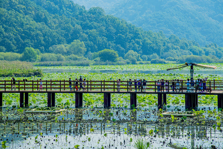 [합천=뉴시스] 정양늪생태공원에서 해설사와 걷고 있는 어린이들 (사진=합천군 제공) 2025. 04. 29. photo@newsis.com *재판매 및 DB 금지