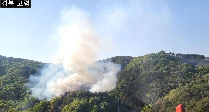 [고령=뉴시스] 고령군 운수면 야산서 불. (사진=경북소방본부 제공) 2025.04.29 photo@newsis.com *재판매 및 DB 금지