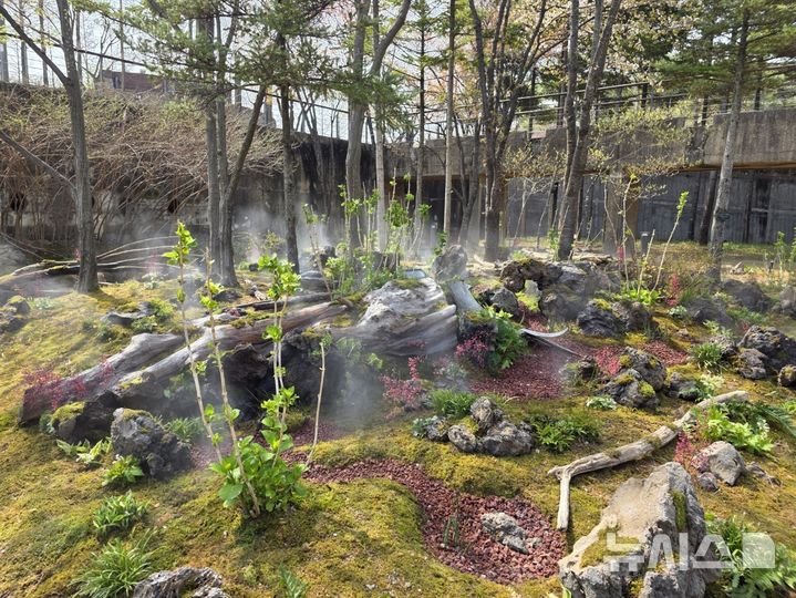 [서울=뉴시스]선유도 이끼공원. 