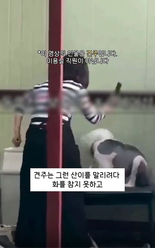 사진=동물권 단체 '케어' 인스타그램 캡처 *재판매 및 DB 금지