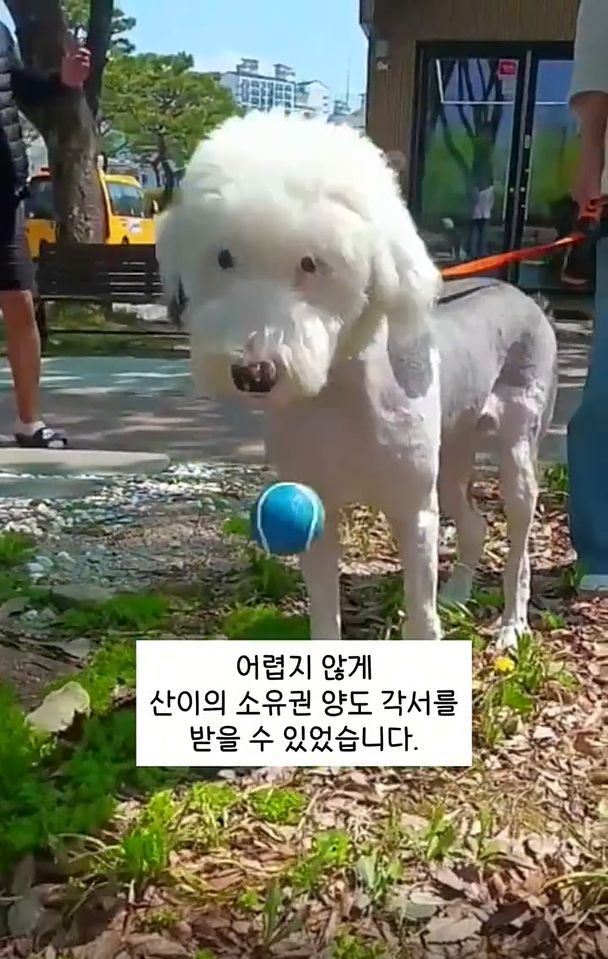 사진=동물권 단체 '케어' 인스타그램 캡처 *재판매 및 DB 금지