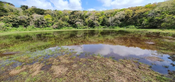 [뉴시스]사진은 기사 내용과 관련 없음.(사진=뉴시스 DB) *재판매 및 DB 금지