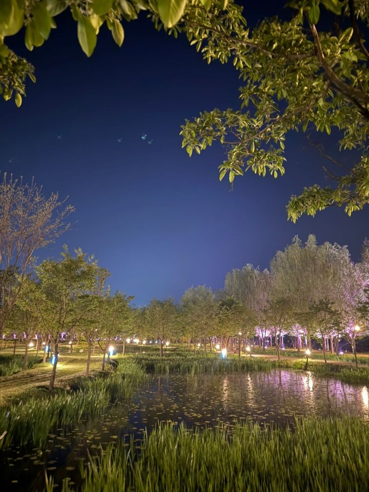 [거창=뉴시스] 거창군 창포원 야간경관 조명 (사진=거창군 제공) 2025. 04. 30. photo@newsis.com&nbsp; *재판매 및 DB 금지