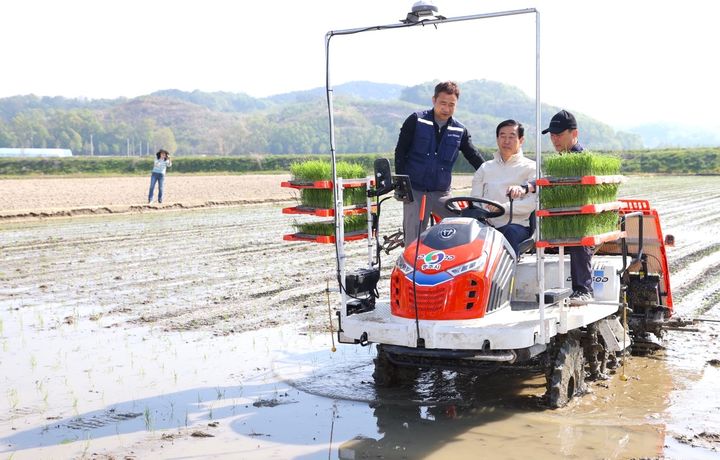 중원진미 모내기하는 조길형 충주시장 *재판매 및 DB 금지