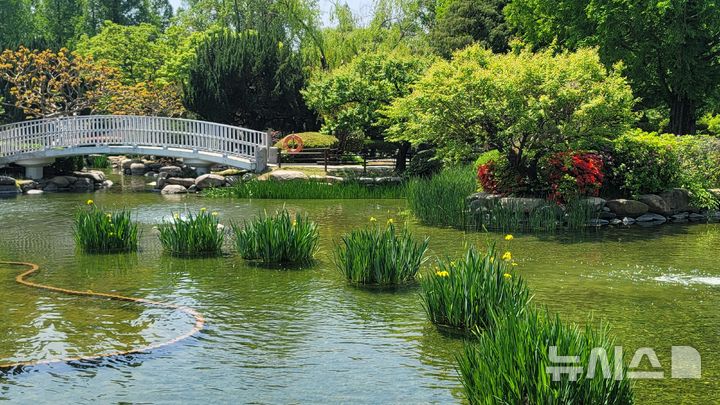 [창원=뉴시스]새롭게 단장한 경남도청 정원 내 생태연못.(사진=경남도 제공)2025.05.01. photo@newsis.com