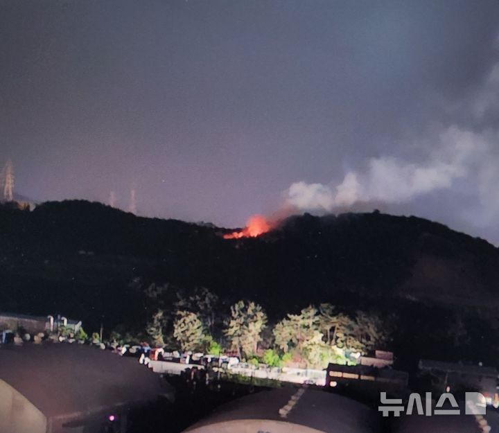 [포항=뉴시스] 1일 오전 1시께 경북 포항시 남구 오천읍 문덕리의 한 야산에서 화재가 발생해 2시간여 만에 꺼졌다. (사진=경북소방본부 제공) 2025.05.01. photo@newsis.com