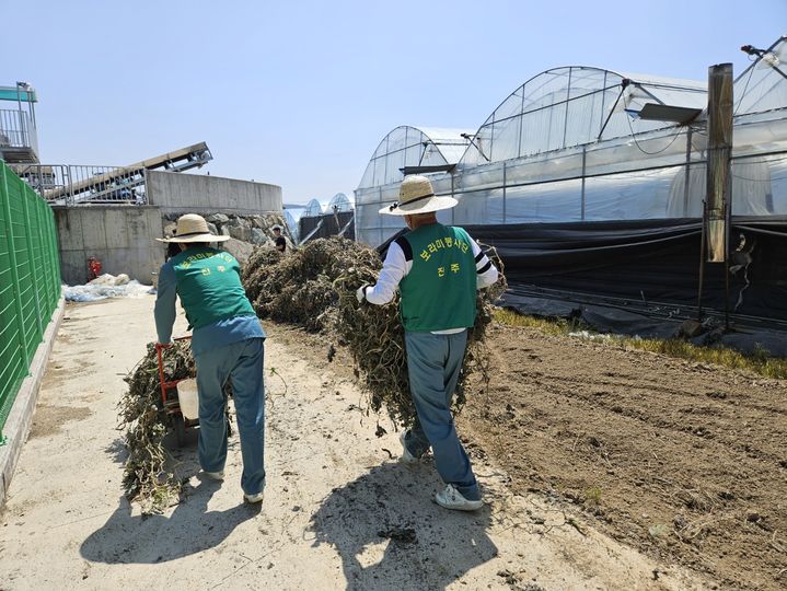 [진주=뉴시스]진주교도소, 농협과 협력해 농촌 일손 돕기 봉사활동.(사진=진주교도소 제공).2025.05.01.photo@newsis.com *재판매 및 DB 금지
