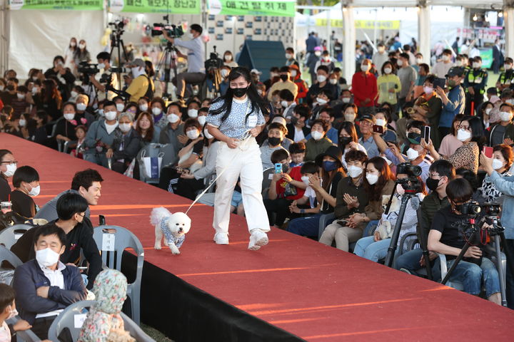 [임실=뉴시스] 지난해 '임실N펫스타'의 전국 반려동물 패션쇼.&nbsp; *재판매 및 DB 금지