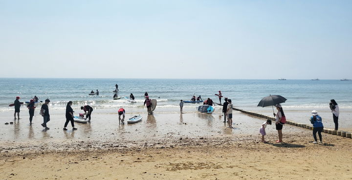 [태안=뉴시스] 지난해 6월8일 충남 태안군 꽃지해수욕장에서 열린 제1회 반려동물 해변운동회에 참가한 변려인과 반려동물이 댕댕패들보트 프로그램을 즐기고 있다. (사진=태안군 제공) 2025.05.01. photo@newsis.com *재판매 및 DB 금지