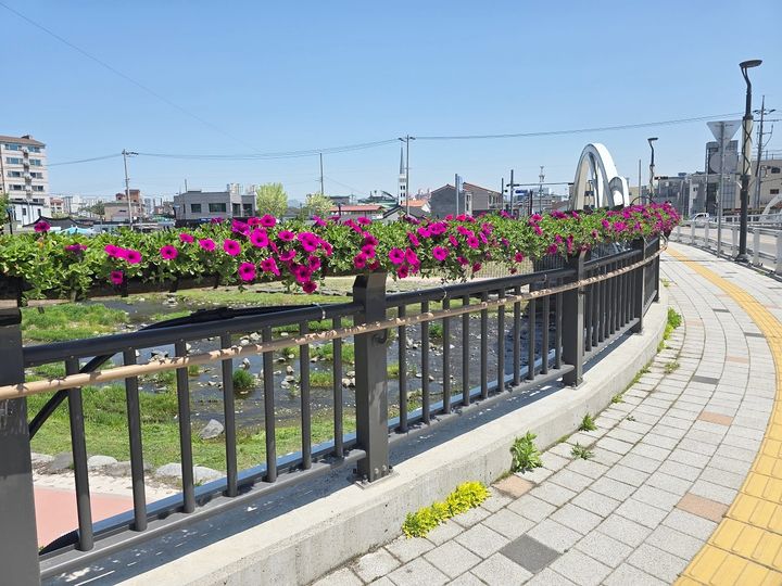 [함양=뉴시스] 함양군 읍시가지 교량 3개소 걸이화분 설치 (사진=함양군 제공) 2025. 05. 01. photo@newsis.com *재판매 및 DB 금지