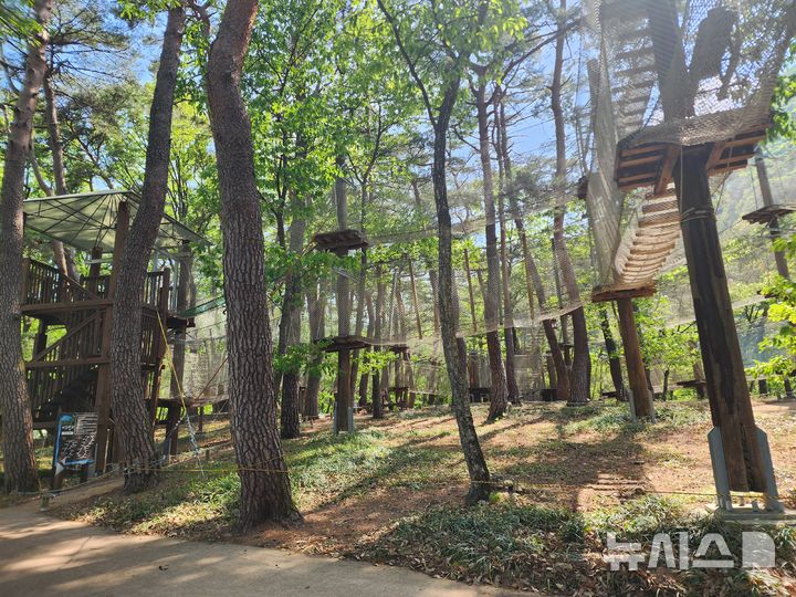 [영덕=뉴시스] 영덕산성계곡 생태공원 어드벤처.(사진=영덕군 제공)