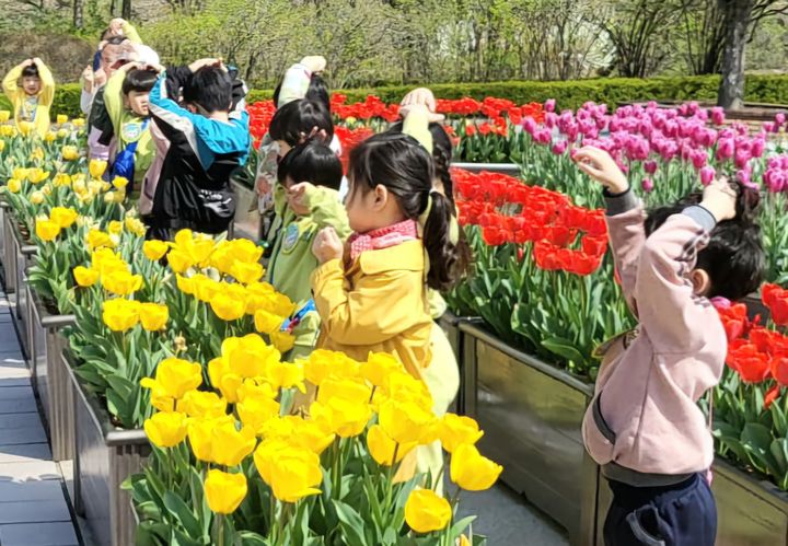 미동산수목원 자연학습 체험교실 모습. (사진=충북도 제공) *재판매 및 DB 금지