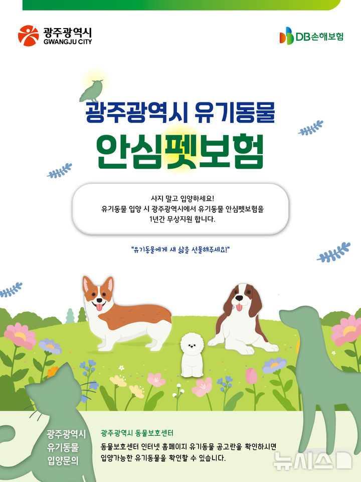 [광주=뉴시스] 광주시 유기동물 입양 펫보험료 지원. (사진=광주시청 제공). photo@newsis.com *재판매 및 DB 금지