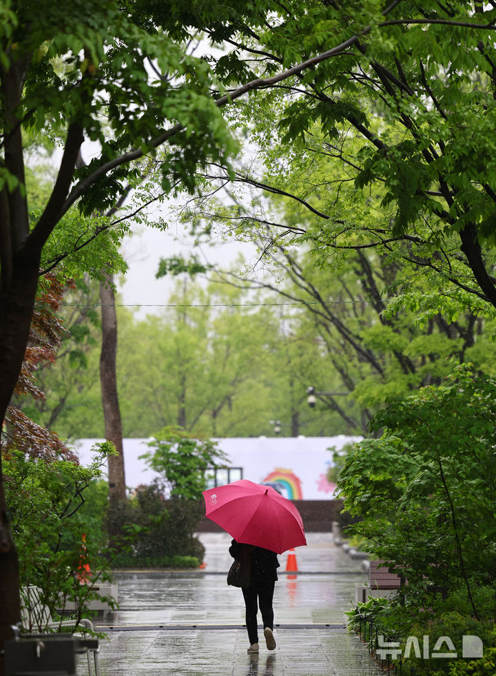 [서울=뉴시스] 박주성 기자 = 서울에 비가 내리는 1일 오전 서울 광화문에 시민이 우산을 쓰고 걸어가고 있다. 2025.05.01. park7691@newsis.com