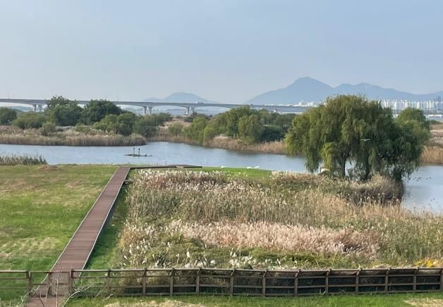 [부산=뉴시스] 부산시 낙동강관리본부 낙동강하구에코센터는 부산지역의 예비부부와 신혼부부 25쌍을 대상으로 물새류대체서식지 내 큰고니를 배경으로 특별 웨딩 사진 추억 만들기를 추진한다고 2일 밝혔다. (사진=낙동강하구에코센터 제공) 2025.05.02. photo@newsis.com *재판매 및 DB 금지