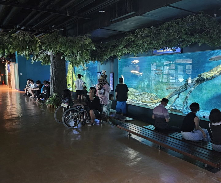 [안동=뉴시스] 울진 민물고기생태체험관. (사진=경북도 제공) 2025.05.02 photo@newsis.com *재판매 및 DB 금지